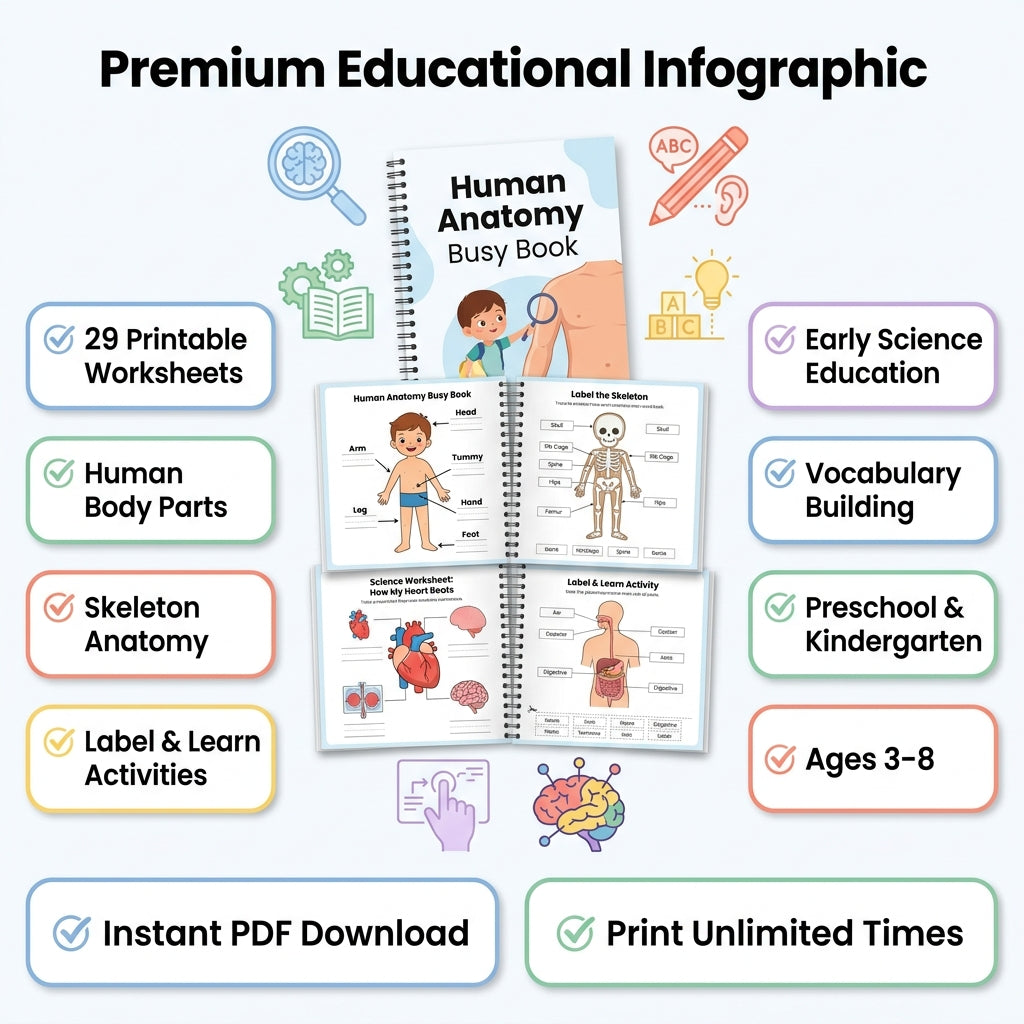 29 Pages Learn the Human Body - Printable Anatomy Busy Book