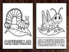 20 Insects Coloring Pages for Kids (Printable PDF – Bugs & Nature Theme) StoryPop Printables