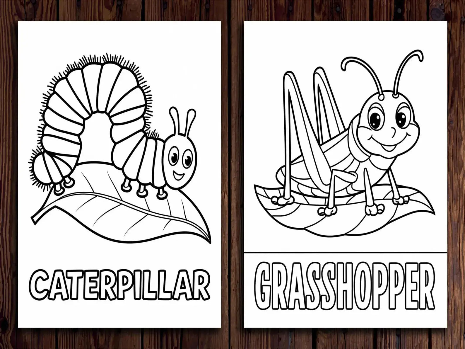 20 Insects Coloring Pages for Kids (Printable PDF – Bugs & Nature Theme) StoryPop Printables