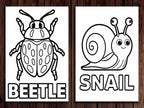 20 Insects Coloring Pages for Kids (Printable PDF – Bugs & Nature Theme) StoryPop Printables